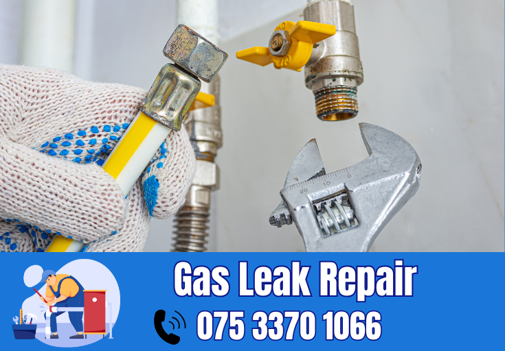 gas leak repair Shorne