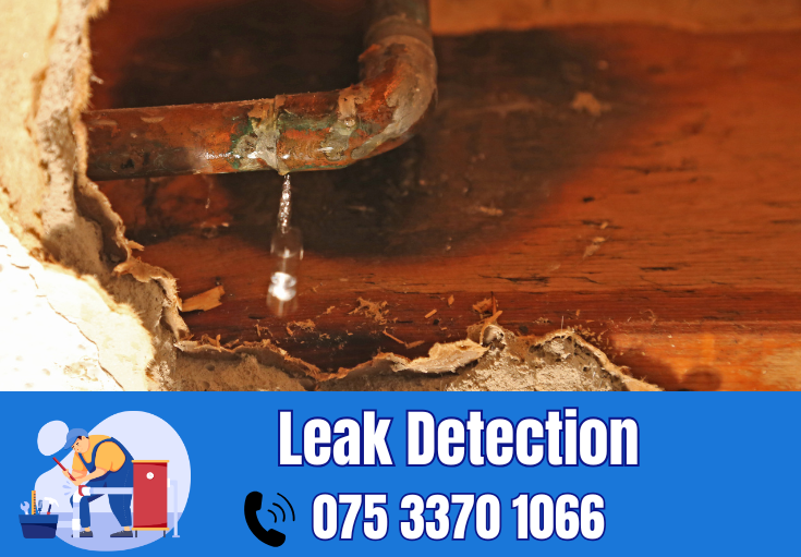 leak detection Shorne