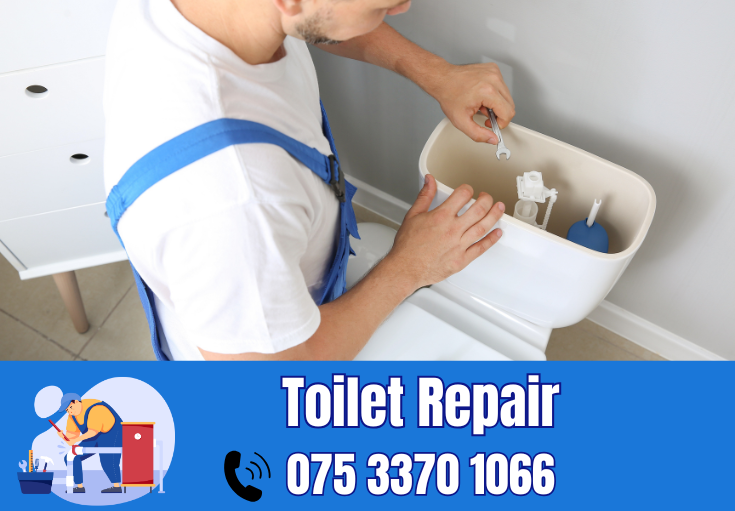 toilet repair Shorne